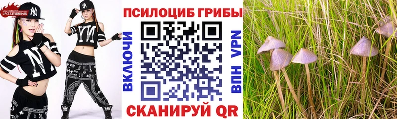 Псилоцибиновые грибы Magic Shrooms  Красавино 